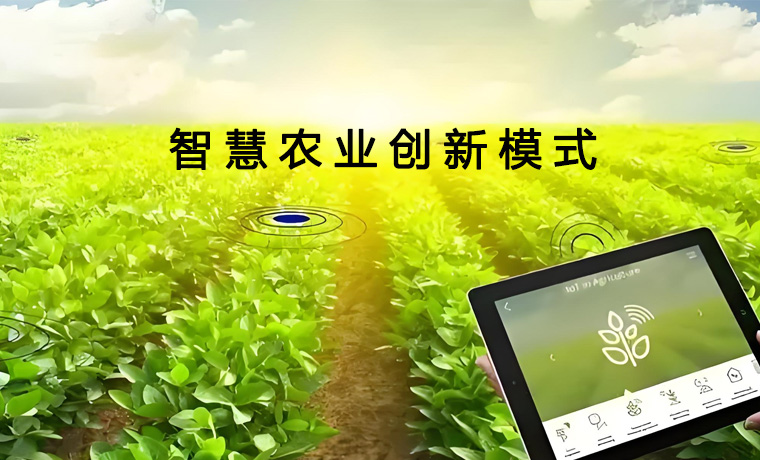 点击进入